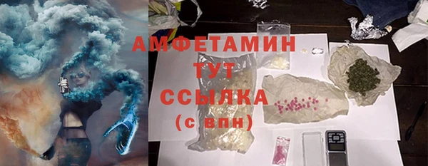 крисы Богородицк
