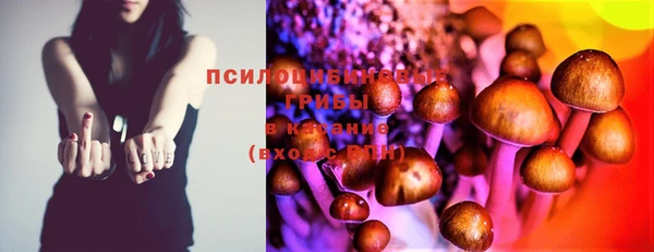 крисы Богородицк