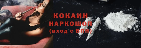 крисы Богородицк