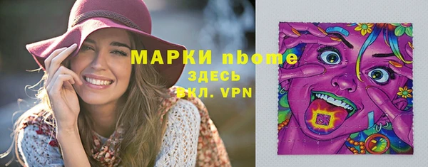 крисы Богородицк